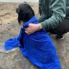 XL Super Absorbent Dog Drying Towel  - Image 2