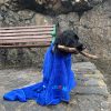 XL Super Absorbent Dog Drying Towel  - Image 6