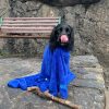 XL Super Absorbent Dog Drying Towel  - Image 4