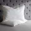 Mulberry Silk Pillows - Image 2