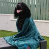 Groomit Double Layered Dog Drying Jackets - Image 8
